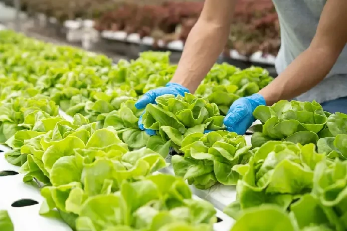 agriculture-and-aquaculture